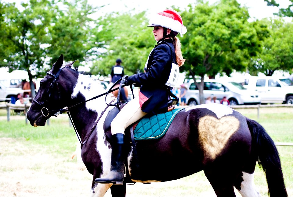 The girl in the Santa hat