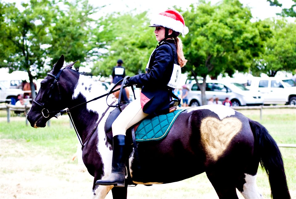 The girl in the Santa hat photo