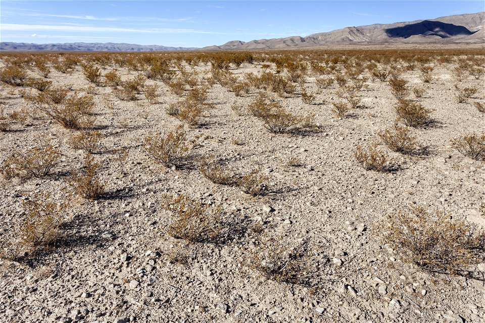 Southwest of Pup Canyon