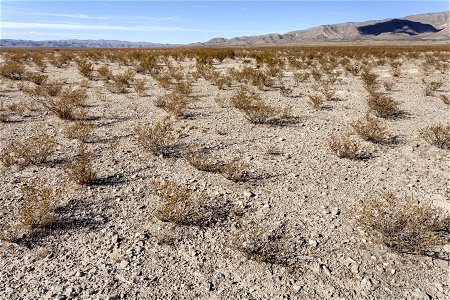 Southwest of Pup Canyon