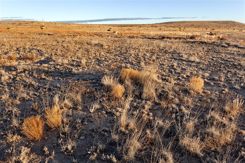 Otero Mesa