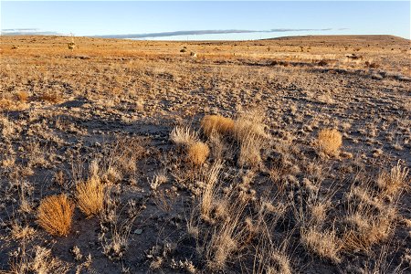 Otero Mesa