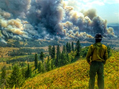 2021 USFWS Fire Employee Photo Contest Category: Landscape and Fire