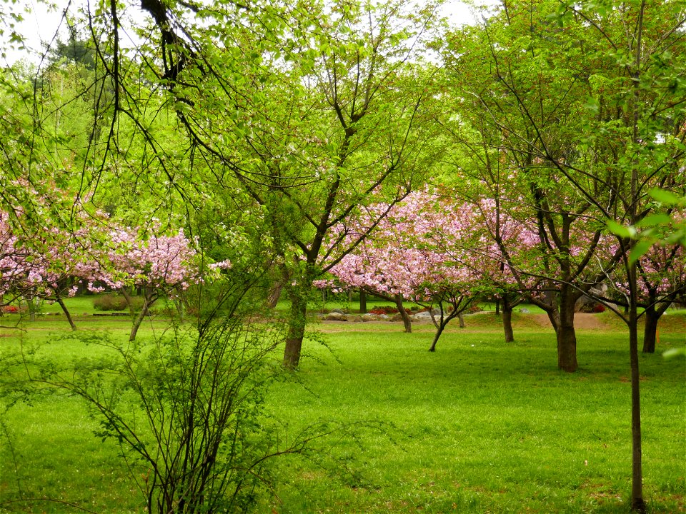 fabulous-foliage_2018_0418_081400