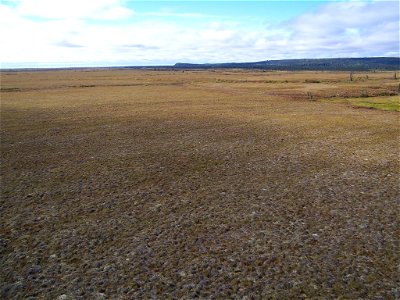 Tundra landscape photo