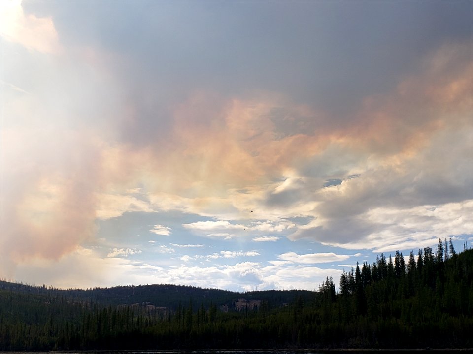SmokePlumeAtOliveLake CrocketsKnobFire USFSbyJoseAcosta 220830 (1)