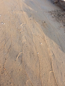 Landscape beach sand photo