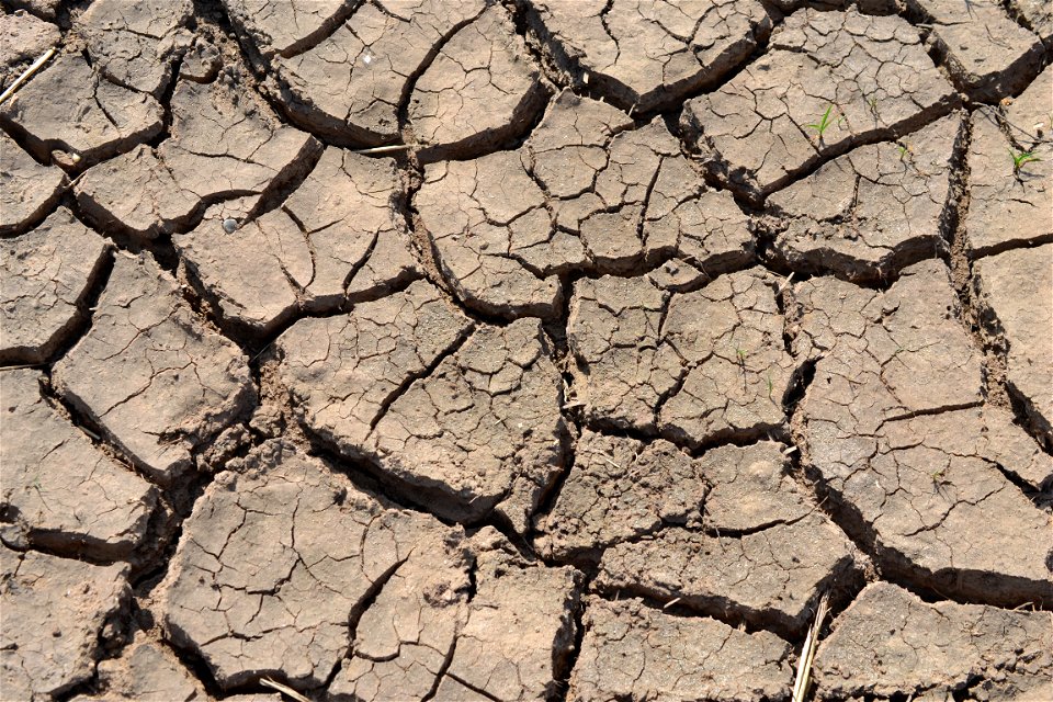 Free textures with cracks