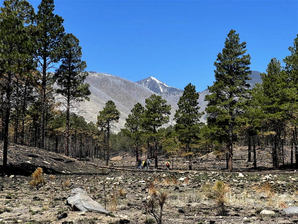 TunnelFireBAER_20220501_baerteamandcoconinocountyrecon_RobBallard