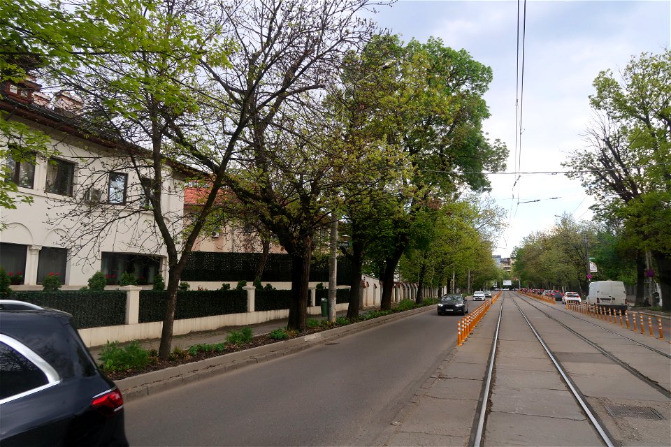 biserica Casin (49)