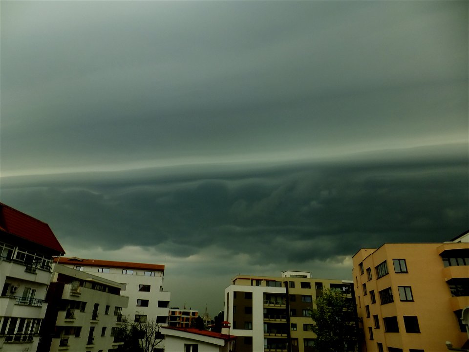 nori-sediu2015_0507_075225