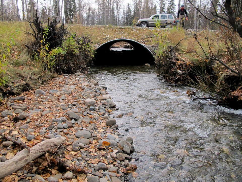 Colter Creek's fish-friendly culvert