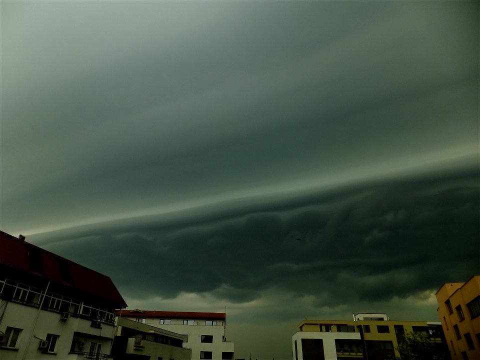 nori-sediu2015_0507_075231