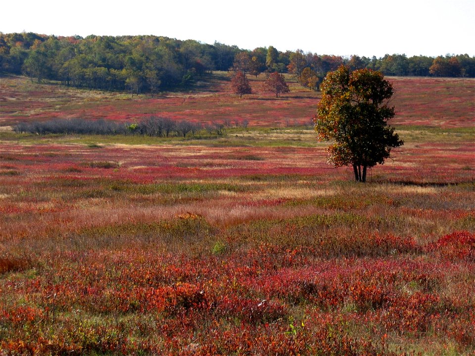 Red Meadow