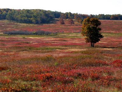 Red Meadow photo
