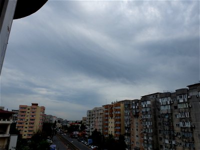 nori-Vitan2015_0520_172657