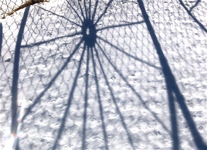 Shadow Wheel and Fence photo