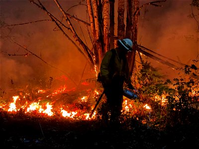 Burn Ops, Bolt Creek Fire, Washington photo