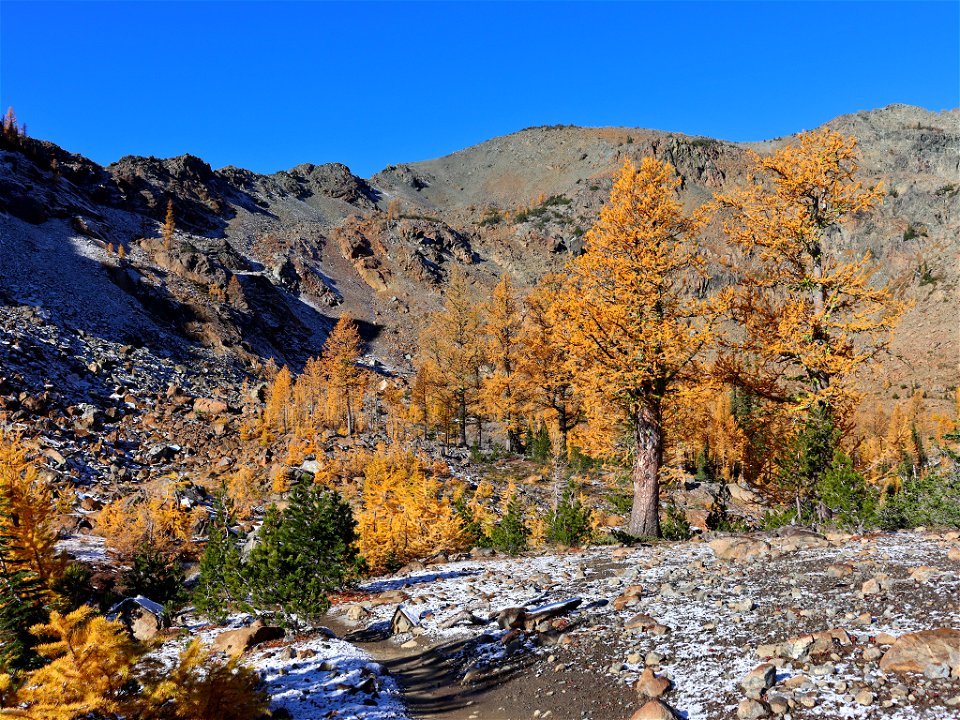 Ingalls Pass at North Cascades in WA