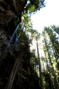 unf_035jpg_49364653057_o