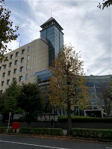Honcho Higashikurume-shi in November