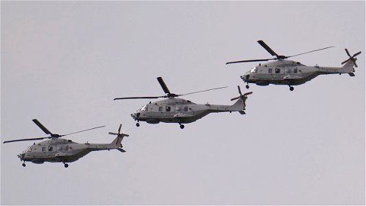 NH Industries NH90 NTH Sea Lion 79+59 Deutsche Marine (German Navy)