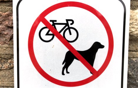 No Cog, No Dog