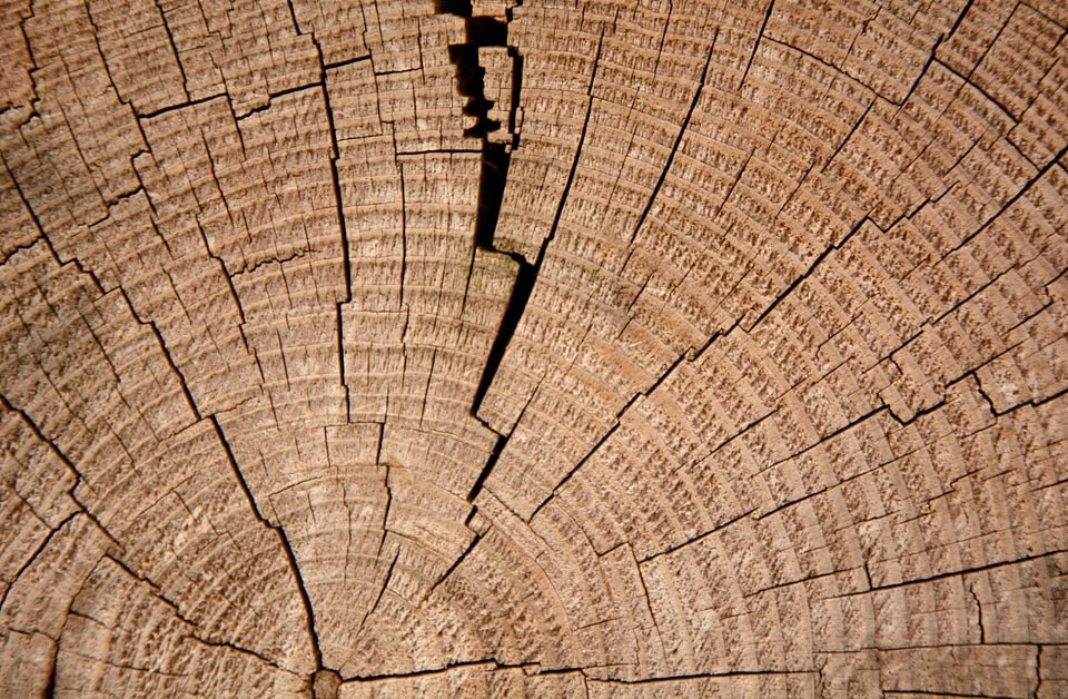 Cross section old background