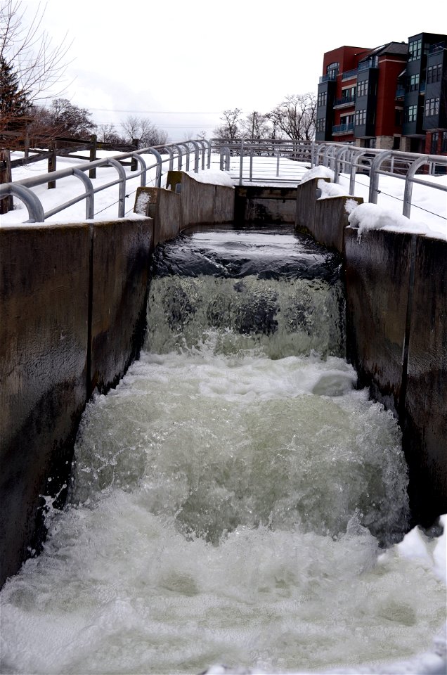 Boardman River Fish Ladder