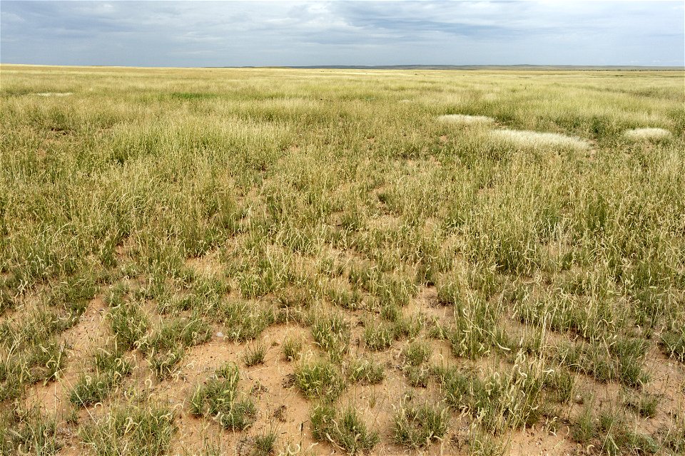 North-northeast of Wire Lake