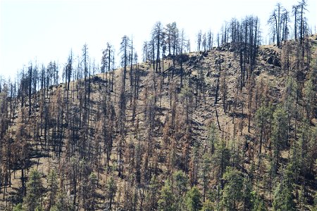 MAY 16: Recently burned mountain