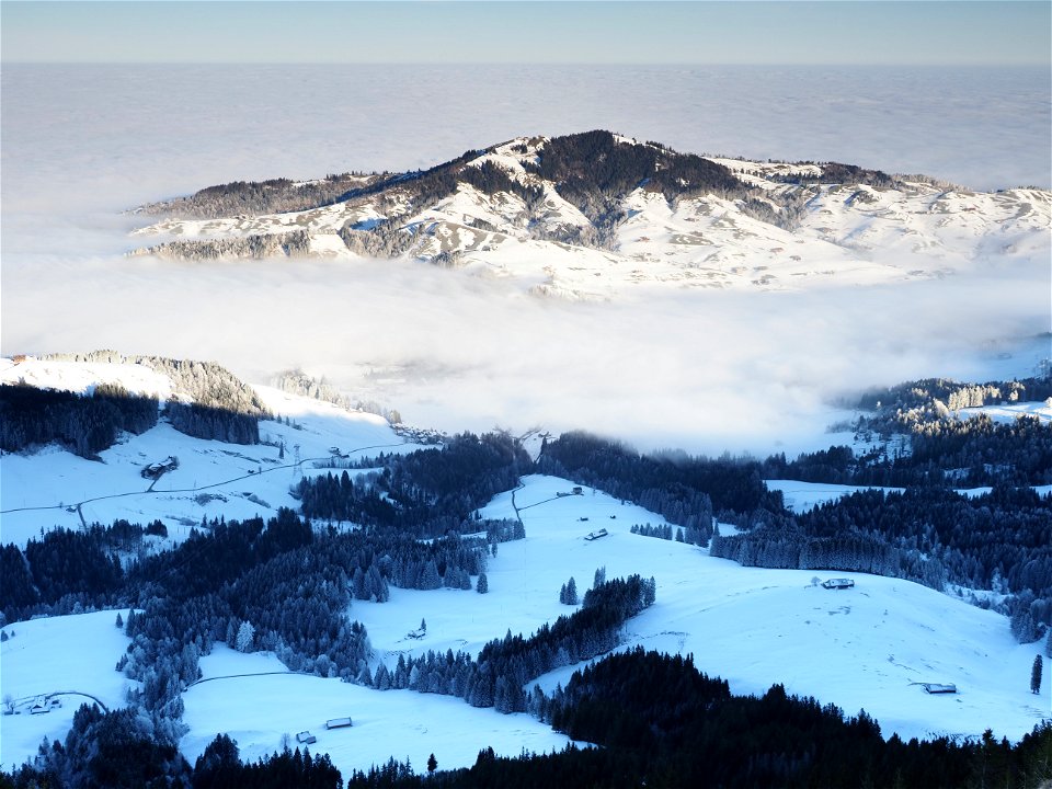 Winter Wonderland