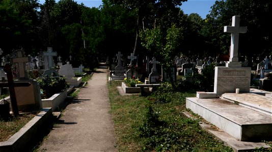 Bellu_cemetery (41) photo