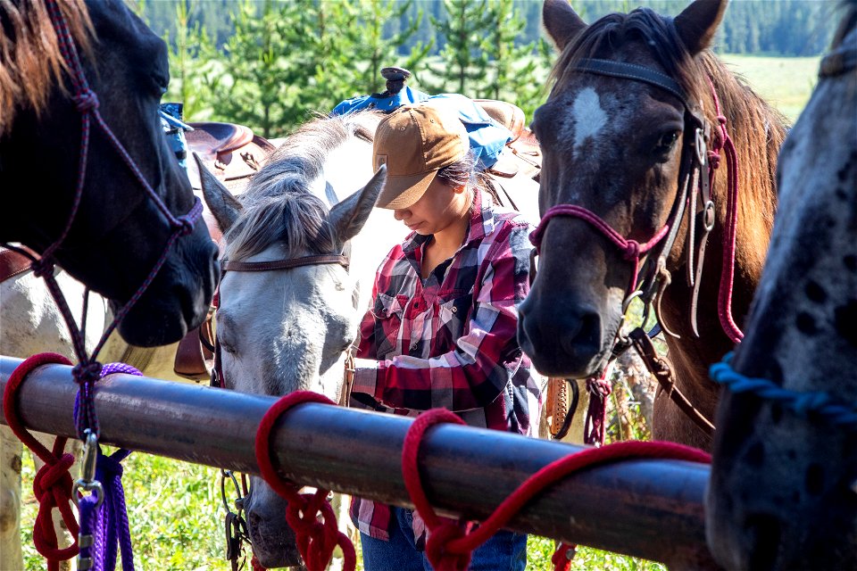 Nez Perce Appaloosa Horse Club Ride and Parade