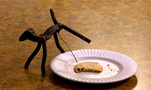 Honey, The new cookies taste funny.