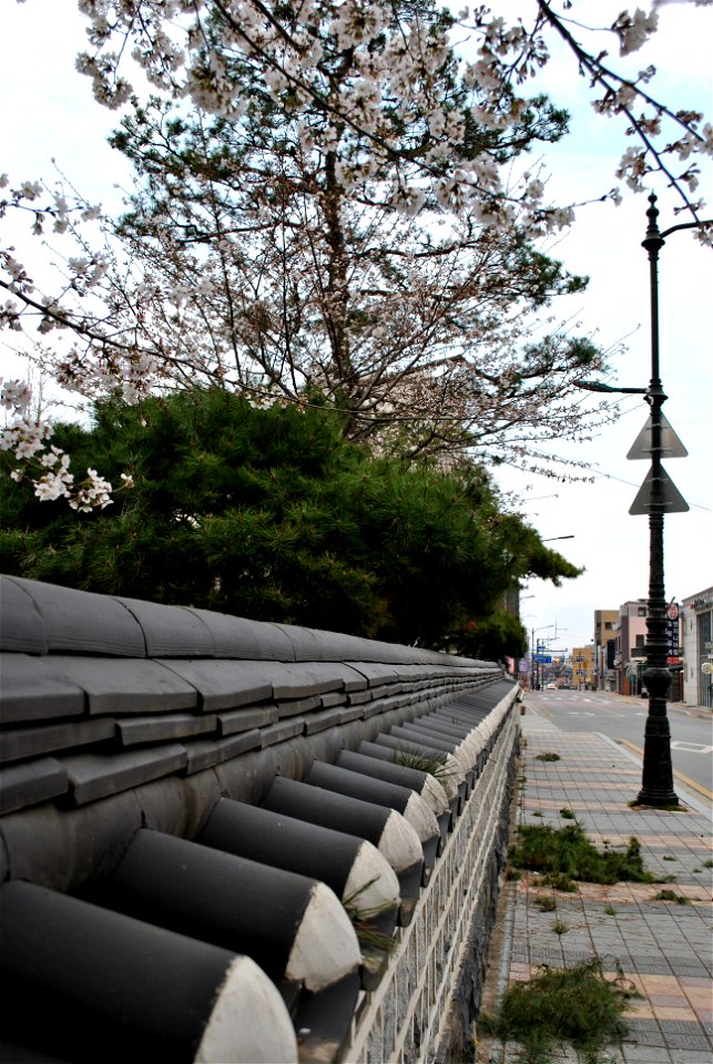 Chuncheon Spring 2023