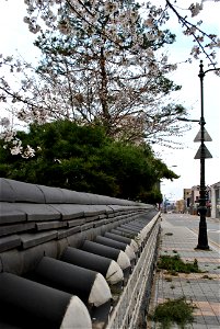 Chuncheon Spring 2023