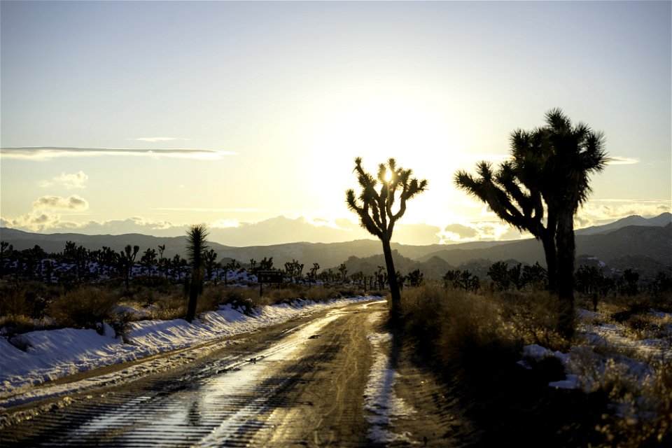 Snow near the Wall Street Mill parking area on Bighorn Pass Road at sunset
