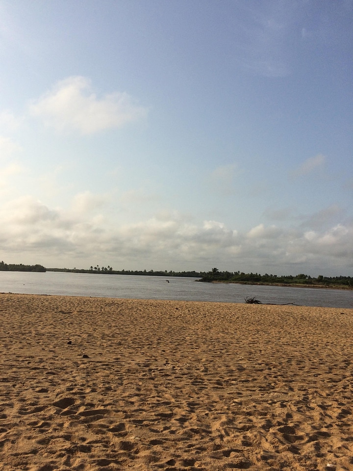 Landscape trees sand photo