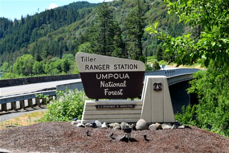 Tiller Ranger Station Classic FS Sign