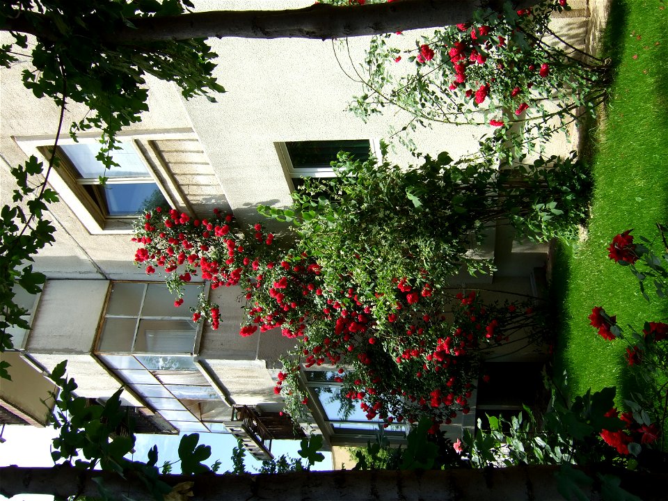 trandaf2009_0524_104837
