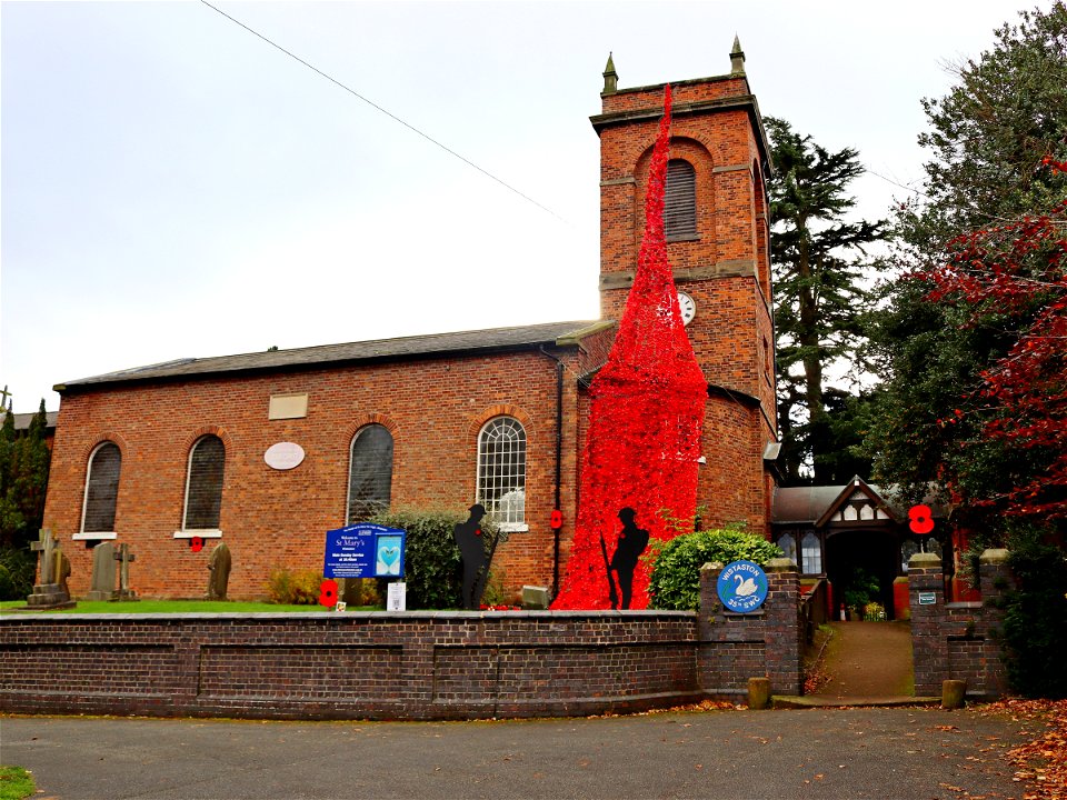 Wistaston's Ribbon of Poppies_01 photo