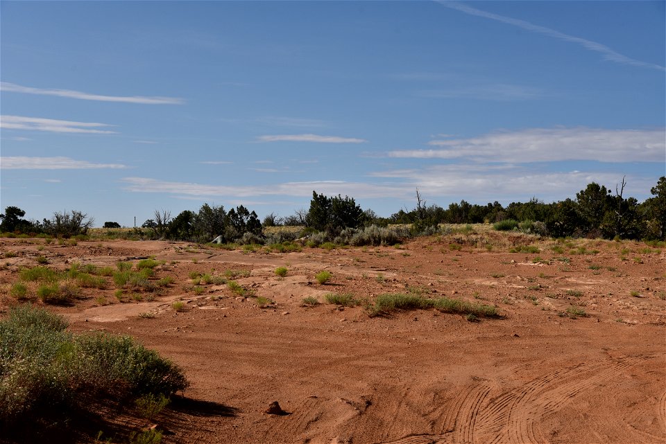 Site of Proposed Parking Area and Visitor Amenities
