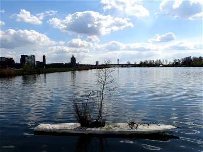 Roermond surfing
