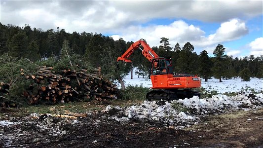 VIDEO: FWPP Helicopter Thinning Operations photo