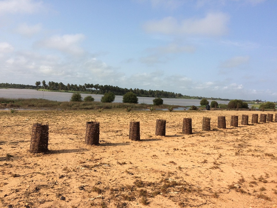 Landscape trees water photo