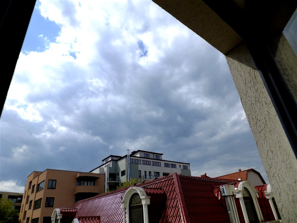 nori-sediu2015_0511_145614