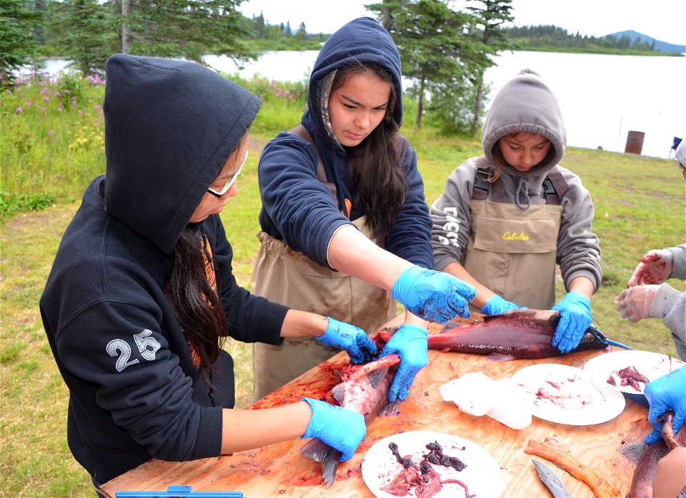 2015 Togiak_SC_ (9)