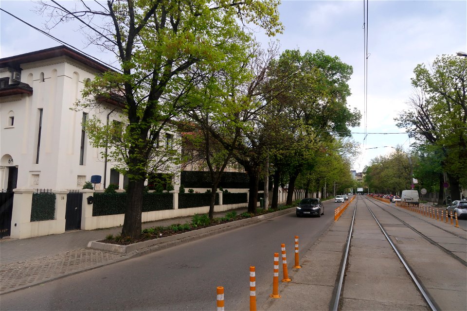 biserica Casin (51)