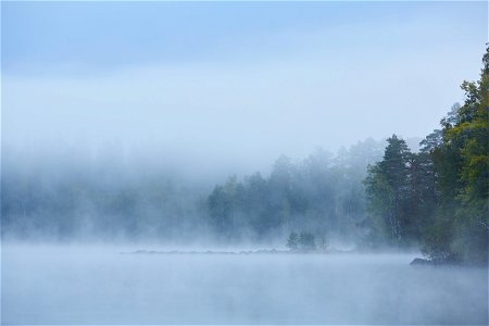 Liesjärven kansallispuisto, Tammela, Finland photo